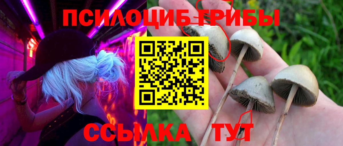 Псилоцибиновые грибы мухоморы Салават